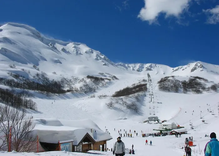 Hotel Park Hotel&spa