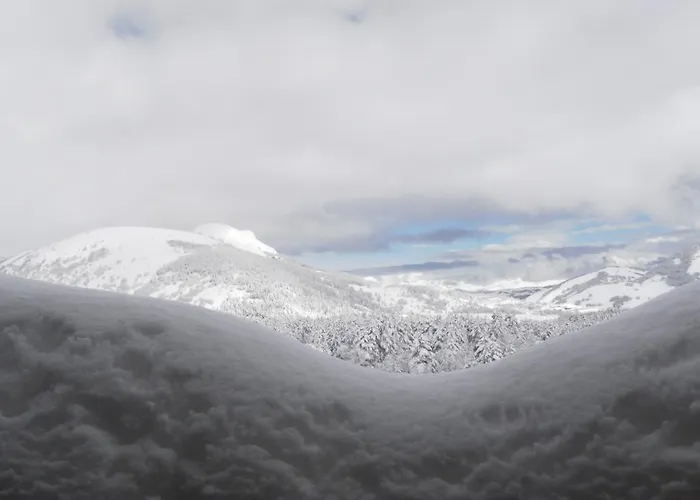 Park Hotel&spa Hotel